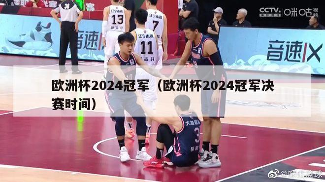 欧洲杯2024冠军（欧洲杯2024冠军决赛时间）