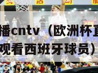 欧洲杯直播cntv（欧洲杯直播cctv5在线直播观看西班牙球员）